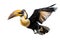 Image of beautiful hornbill on white background. Wild Animals. Bird. illustration. Generative AI