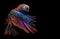 Image of beautiful parrots flying colorful. Wildlife Animals. Birds. Illustration. Generative AI