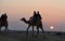 This is an image of beautiful sunset point or camel safari in jaisalmer rajasthan india