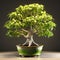 Image of beautiful thai socotranum tree in a pot on clean background. Flower, Illustration, Generative AI