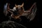 Image of a big bat are flapping their wings in the dark. Birds. Wildlife Animals. Illustration, generative AI