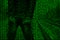 An image of a binary code from bright green figures, through which the image of an arrested and handcuffed person.