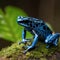 Image of blue poison dart frog in a rich forest. Amphibian. Wildlife Animals. Illustration. Generative AI