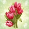Image of a bouquet of flowers of pink tulips