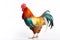 image of bright colors rooster stands on white background. Farm Animals. illustration, generative AI