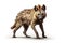 Image of brown hyena on white background, Mammals, Wildlife Animals. Illustration, Generative AI