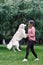 Image of brunette and jumping dog on green lawn