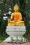 Image of Buddha under the tree