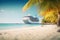 Image of bug passenger cruise ship near perfect beach