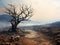 Image of a burnt olive tree standing along a rocky road and a scorched field