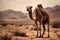 Image of a camel standing in the middle of the arid desert. Wildlife Animals. Illustration. Generative AI