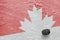 Image of the Canadian symbol on the ice of the hockey ground