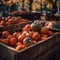The image captures a rustic wooden crate filled with plump and bright orange pumpkins.