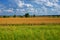 The image captures a vast field with green grass transitioning to golden crops under a blue sky with fluffy clouds