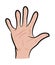 Image of cartoon human hand, gesture open palm, waving, . Vector illustration on white background.