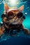 Image of cat wearing goggles and floating in pool of water