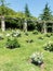 Image of the Cervantes Park, a large garden in which there are thousands of species of roses, Barcelona. Catalonia,