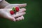 Image of children hand wild strawberry