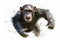 Image of chimpan monkey with his mouth wide open. Generative AI