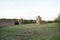 Image of the circus of Maxentius, Rome