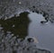 Image of close up of rain puddle with reflection and mud surround