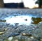 Image of close up of rain puddle with reflection and mud surround