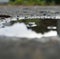 Image of close up of rain puddle with reflection and mud surround