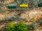 Image of colorful mailboxes in brick wall