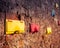 Image of colorful mailboxes in brick wall