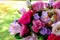 The image of colorful orchid flower bouquet with blur background