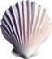 an image of a colorful seashell. Ai-Generated