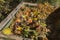 Image of compost bin in the garden