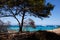 Image from Corsica, France, seascape background. Horizontal view.