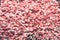Image Covered in Strawberry Foam Mushrooms