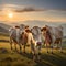 image of the cow grazing on a mountain pasture in a summer panoramic view with mountain range.