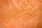 Image of crumpled orange paper closeup