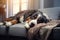 Image of cute bernese mountain dog lying on sofa. Pet. animals. Illustration, Generative AI