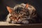 Image of cute brown tabby cat sleeping. Pet. illustration. Generative AI