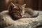 Image of cute brown tabby cat sleeping. Pet. illustration. Generative AI