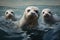 Image of cute eared seals staring. Wildlife Animals. Illustration, Generative AI