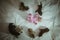 Image of cute little girl in pink suit and puppies