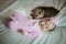 Image of cute little girl in pink suit and puppies