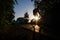 Image of cyclist riding along road among trees