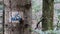 Image of a cyclist on a tree in the forest. Leaning on a tree. A sign for cyclists to show the way. Sign in for directions. close-