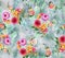 Image digital flower background color colorful pattern
