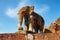 An image displaying a medieval sculpture of an elephant located in East Mebon, Cambodia