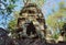 An image displaying a ruined Khmer medieval stone building, nestled among the plants of a Cambodian forest
