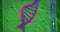 Image of dna strand over light trails on green background