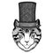 Image of domestic cat wearing cylinder top hat