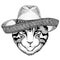 Image of domestic cat Wild animal wearing sombrero Mexico Fiesta Mexican party illustration Wild west